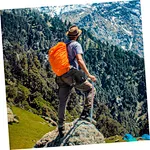 Patagonia waist pack